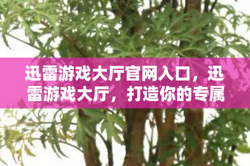 迅雷游戏大厅官网入口图片