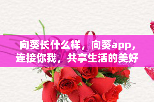 共享生活的美好图片