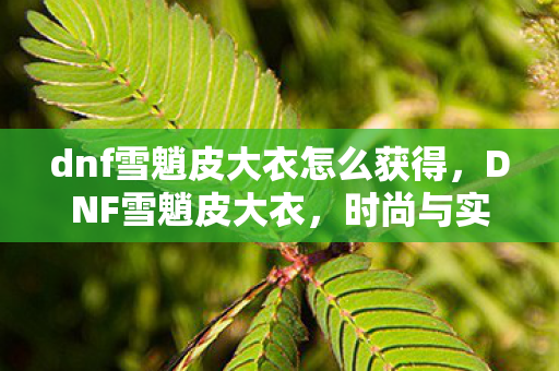 dnf雪魈皮大衣怎么获得图片