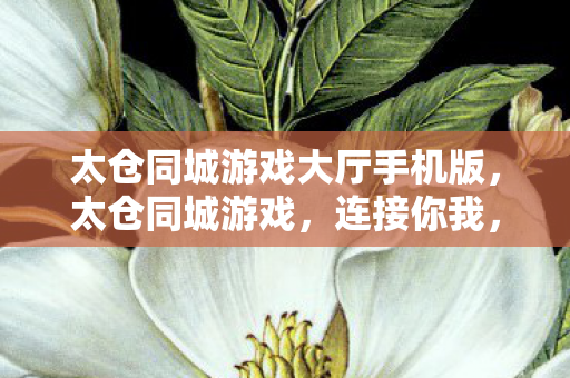 太仓同城游戏大厅手机版图片