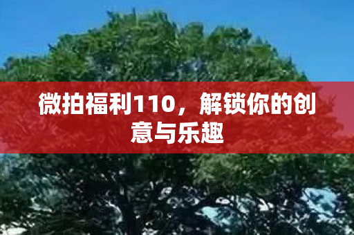 解锁你的创意与乐趣图片