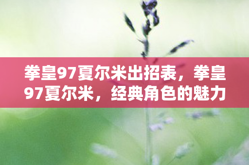 拳皇97夏尔米出招表图片