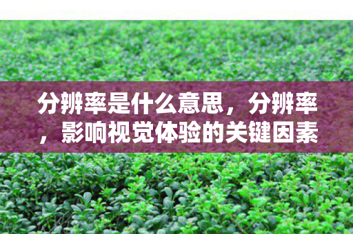 影响视觉体验的关键因素图片