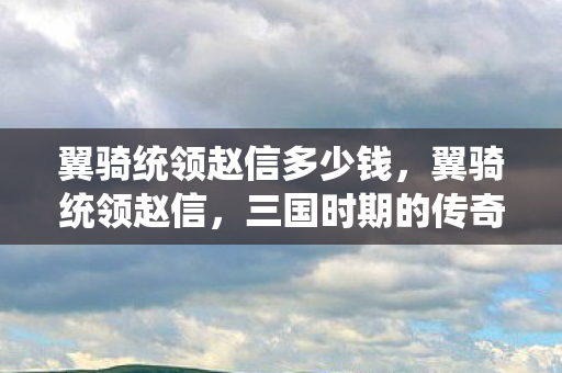 翼骑统领赵信多少钱图片