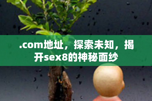 揭开sex8的神秘面纱图片
