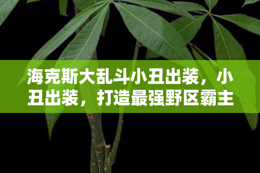 海克斯大乱斗小丑出装图片