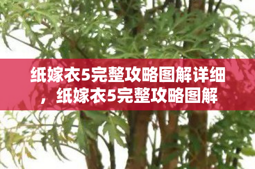 纸嫁衣5完整攻略图解详细图片