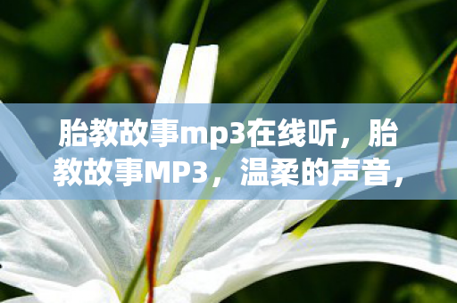 胎教故事mp3在线听图片
