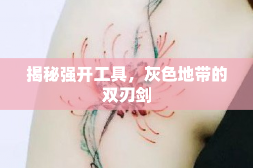 灰色地带的双刃剑图片