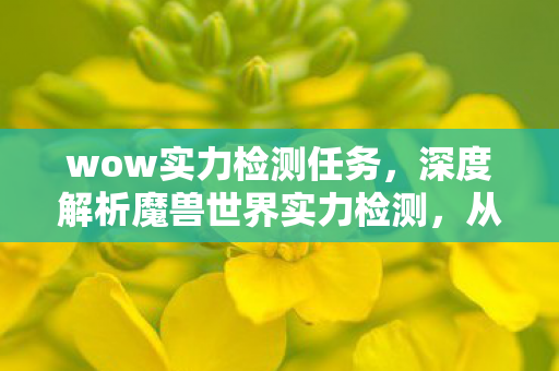 深度解析魔兽世界实力检测图片