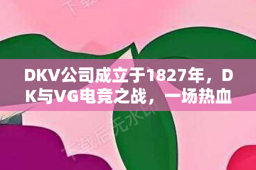 DKV公司成立于1827年，DK与VG电竞之战，一场热血沸腾的较量