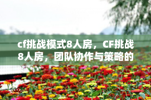 cf挑战模式8人房，CF挑战8人房，团队协作与策略的新高度