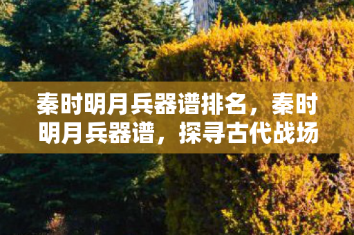 探寻古代战场的冷兵器传奇图片