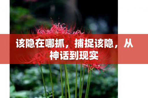 从神话到现实图片