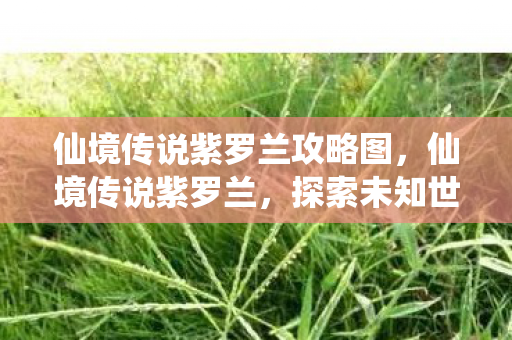 探索未知世界的冒险指南图片