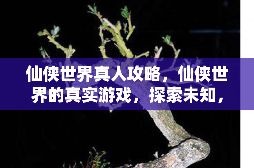 仙侠世界的真实游戏图片