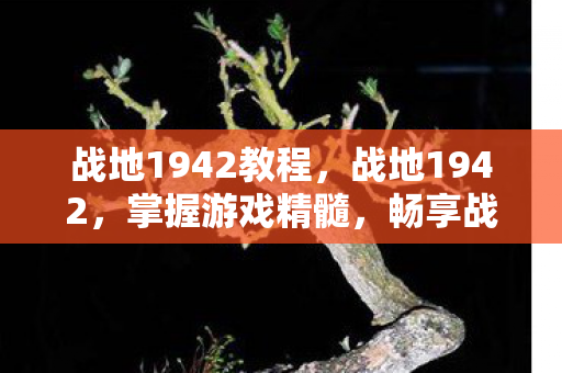 战地1942教程图片