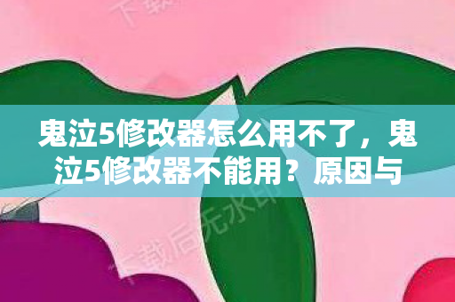 鬼泣5修改器怎么用不了图片