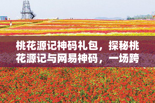 探秘桃花源记与网易神码图片