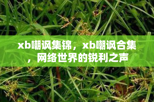 xb嘲讽集锦，xb嘲讽合集，网络世界的锐利之声