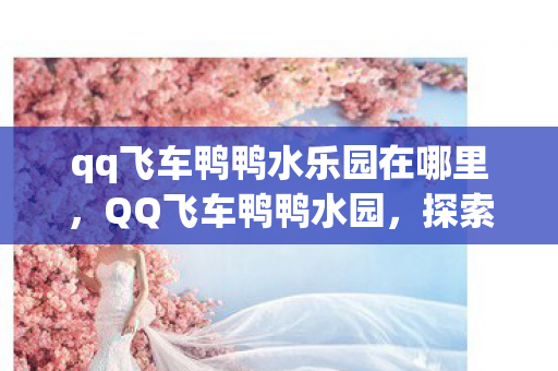 qq飞车鸭鸭水乐园在哪里图片