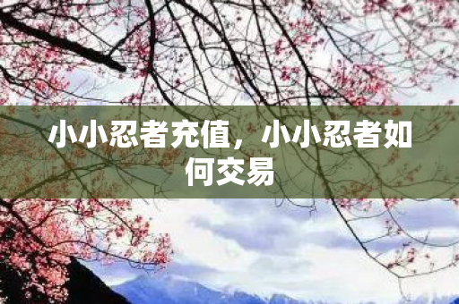 小小忍者如何交易图片