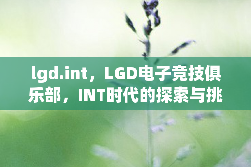 lgd.int，LGD电子竞技俱乐部，INT时代的探索与挑战