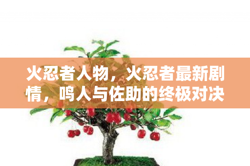 鸣人与佐助的终极对决图片