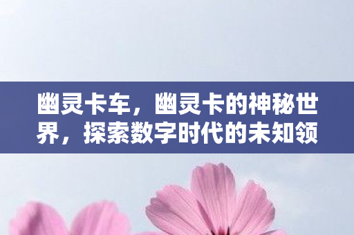 探索数字时代的未知领域图片