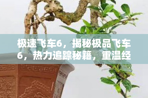 重温经典赛车的速度与激情图片