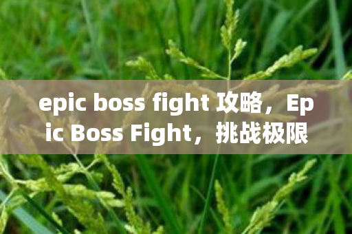 epic boss fight 攻略，Epic Boss Fight，挑战极限的战斗艺术