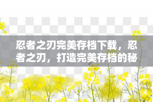 忍者之刃完美存档下载图片