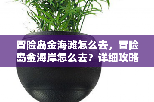 详细攻略带你畅游神秘海域图片