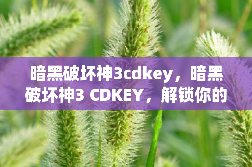 暗黑破坏神3 CDKEY图片