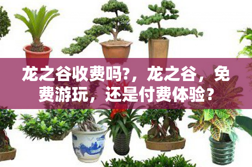 龙之谷收费吗?，龙之谷，免费游玩，还是付费体验？