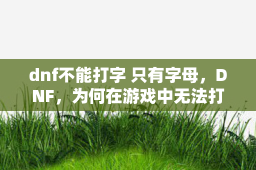 dnf不能打字 只有字母，DNF，为何在游戏中无法打字？