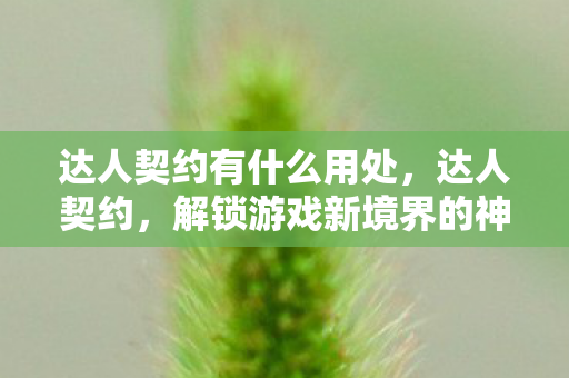 解锁游戏新境界的神奇钥匙图片