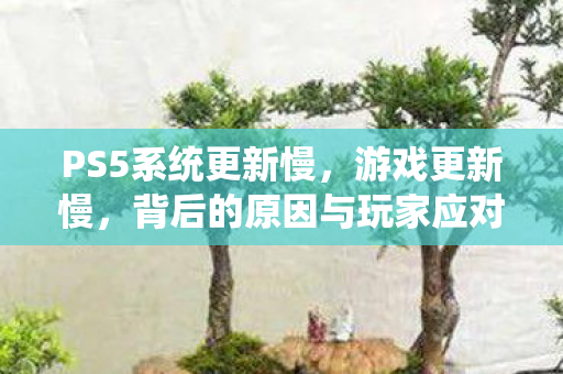 背后的原因与玩家应对策略图片