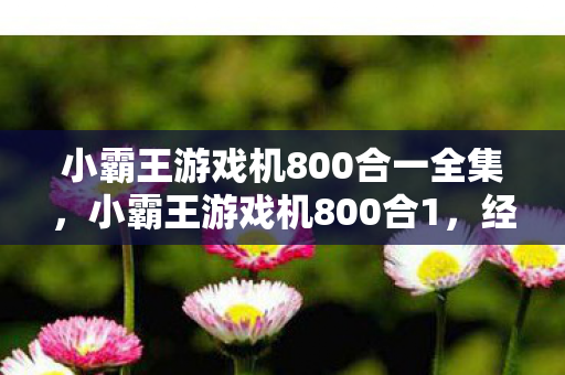 小霸王游戏机800合一全集图片