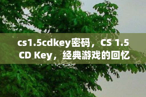 经典游戏的回忆与传承图片