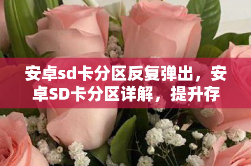 提升存储效率与数据安全的实用指南图片