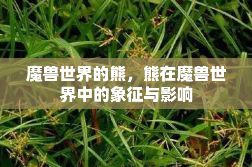 魔兽世界的熊，熊在魔兽世界中的象征与影响