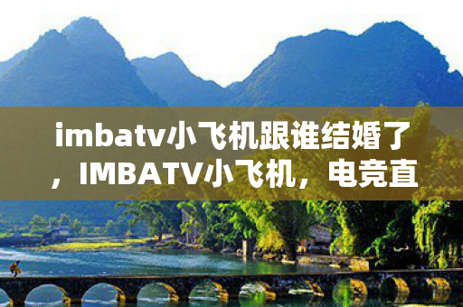 imbatv小飞机跟谁结婚了，IMBATV小飞机，电竞直播的新纪元引领者