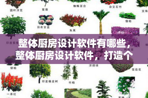 整体厨房设计软件有哪些，整体厨房设计软件，打造个性化厨房的新利器