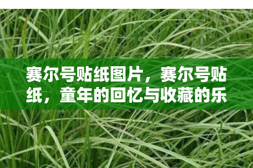 童年的回忆与收藏的乐趣图片