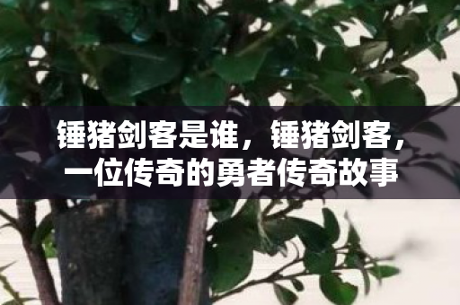 锤猪剑客是谁，锤猪剑客，一位传奇的勇者传奇故事