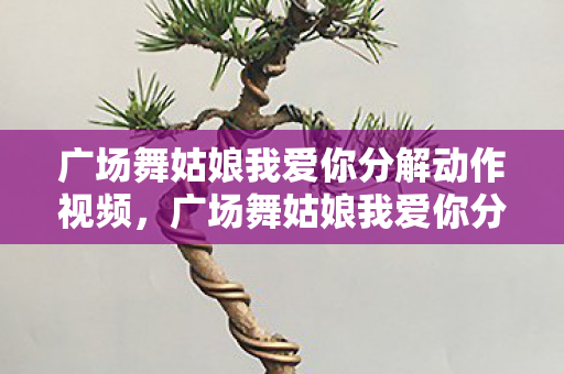 广场舞姑娘我爱你分解动作视频，广场舞姑娘我爱你分解动作