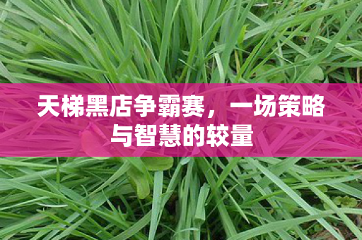 天梯黑店争霸赛，一场策略与智慧的较量