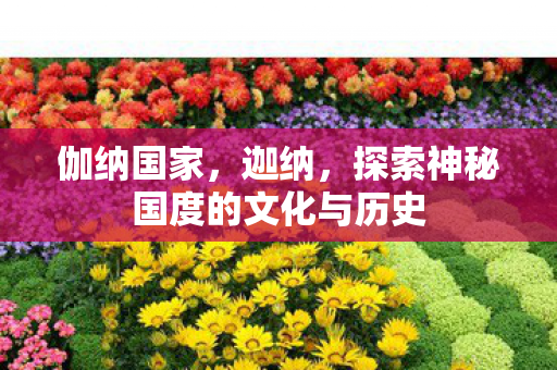 伽纳国家，迦纳，探索神秘国度的文化与历史