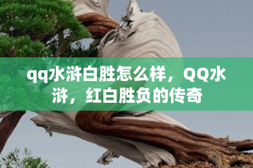 qq水浒白胜怎么样，QQ水浒，红白胜负的传奇
